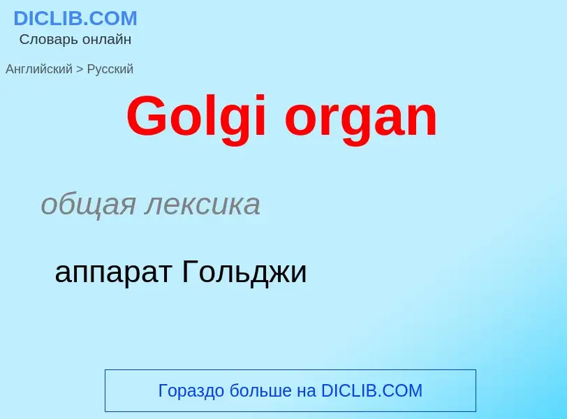 Как переводится Golgi organ на Русский язык