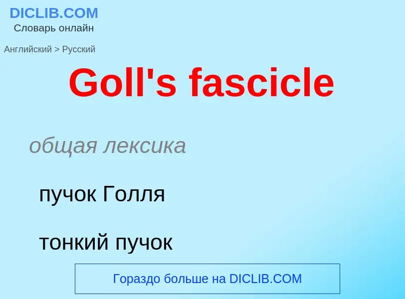 Как переводится Goll's fascicle на Русский язык