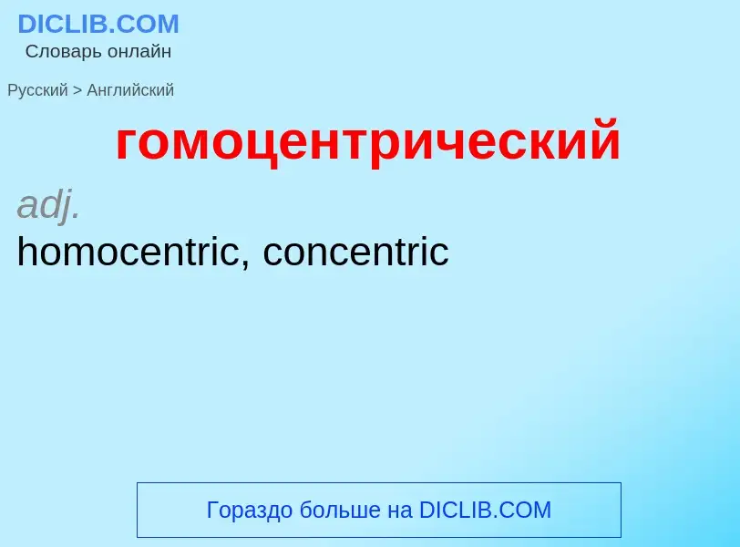 Как переводится гомоцентрический на Английский язык