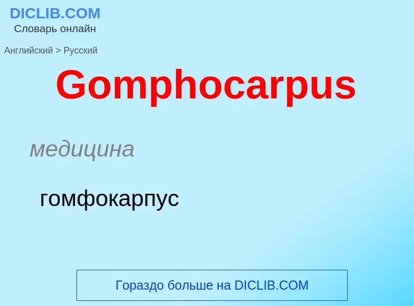 Как переводится Gomphocarpus на Русский язык