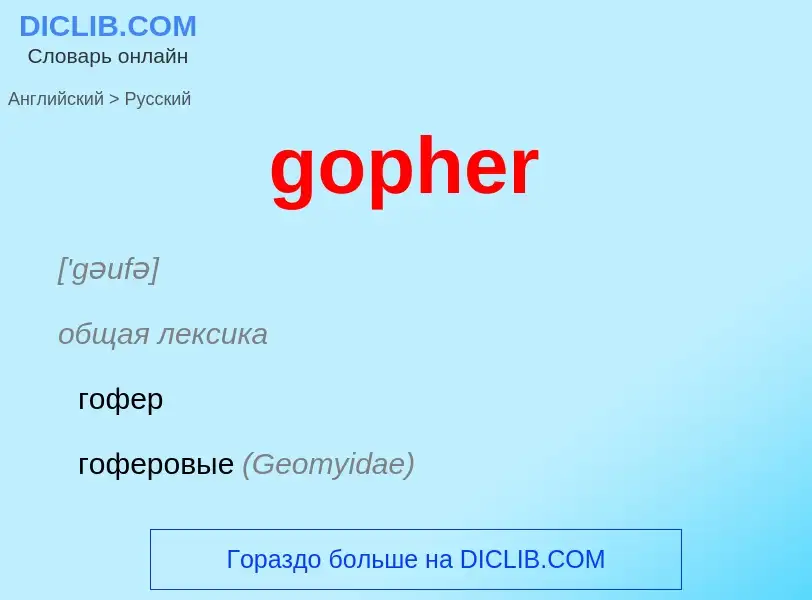 Как переводится gopher на Русский язык