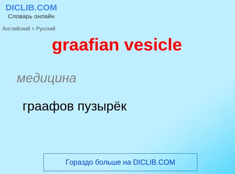 Как переводится graafian vesicle на Русский язык