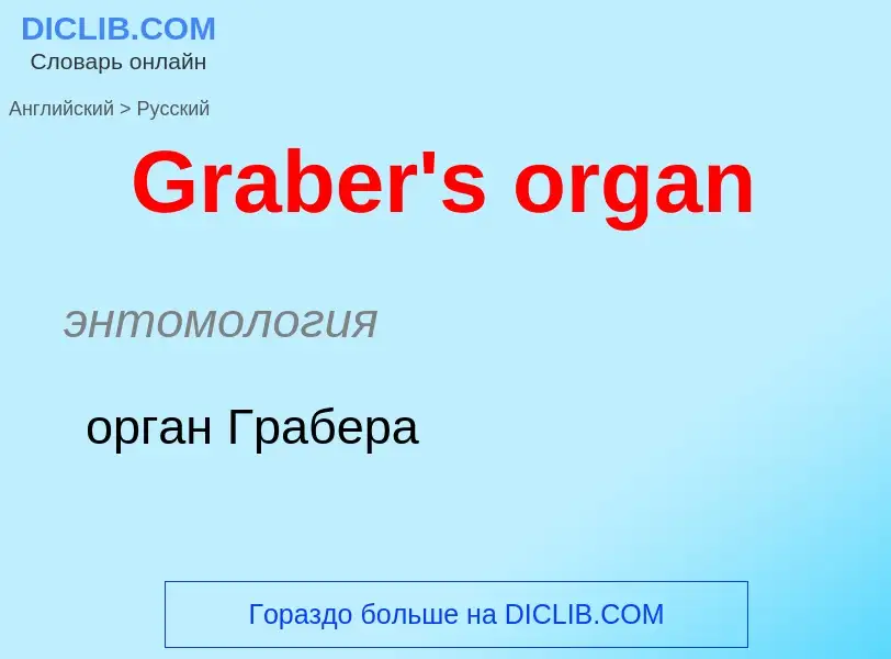 Как переводится Graber's organ на Русский язык