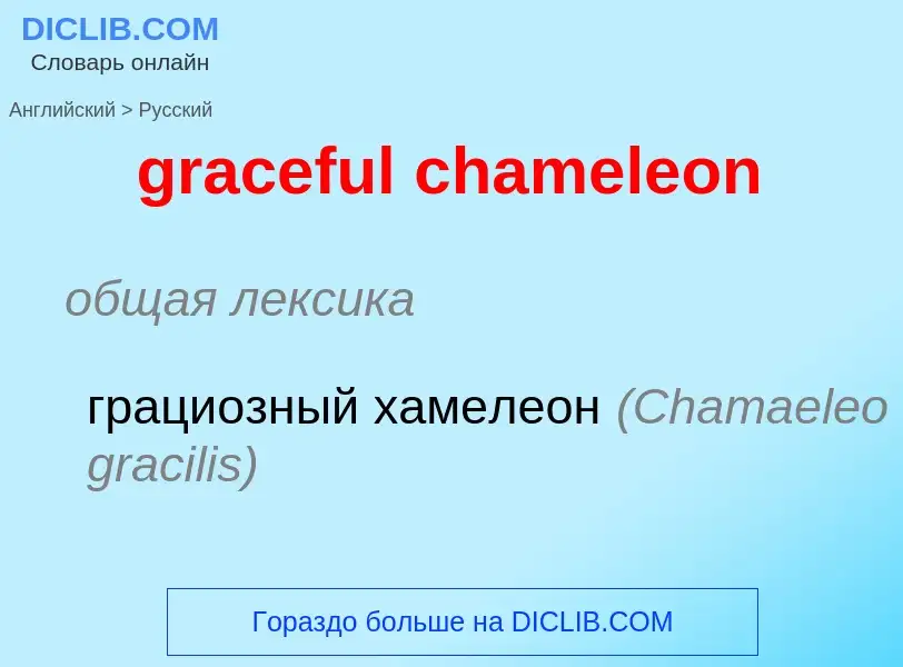 Übersetzung von &#39graceful chameleon&#39 in Russisch