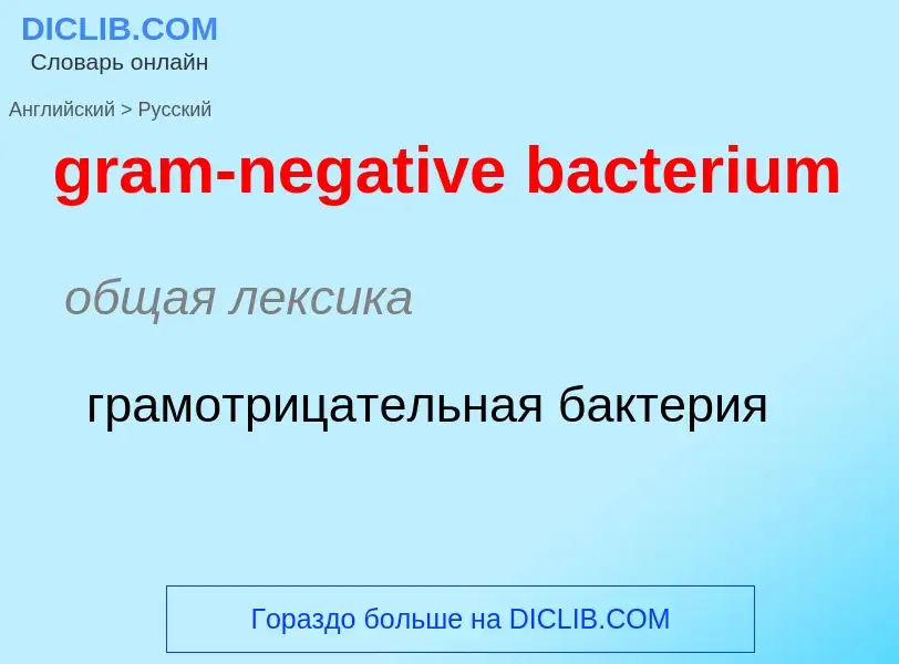 Как переводится gram-negative bacterium на Русский язык