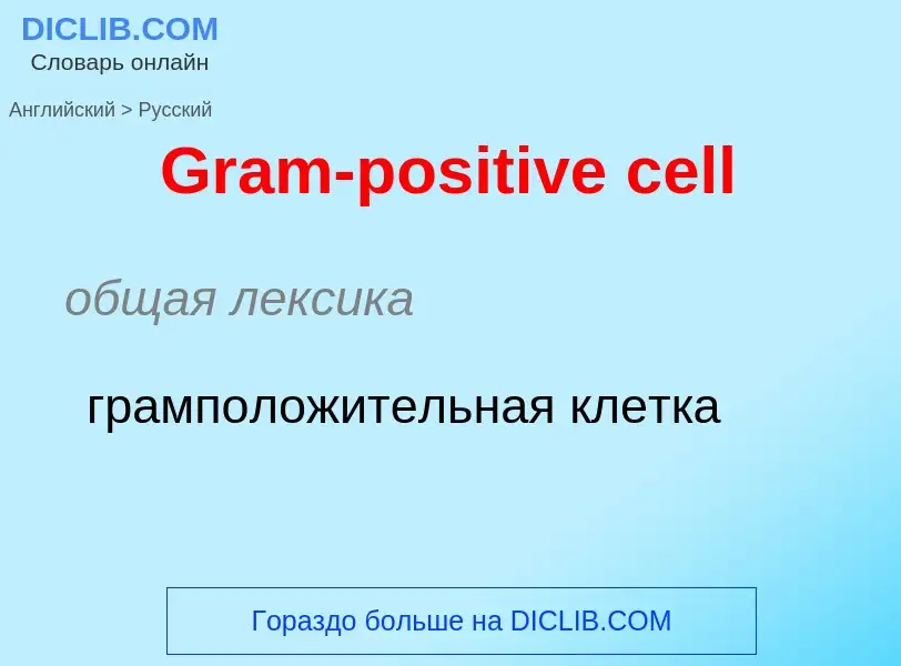 Как переводится Gram-positive cell на Русский язык