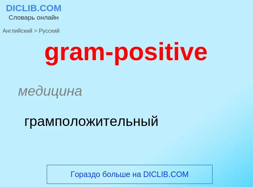 Как переводится gram-positive на Русский язык