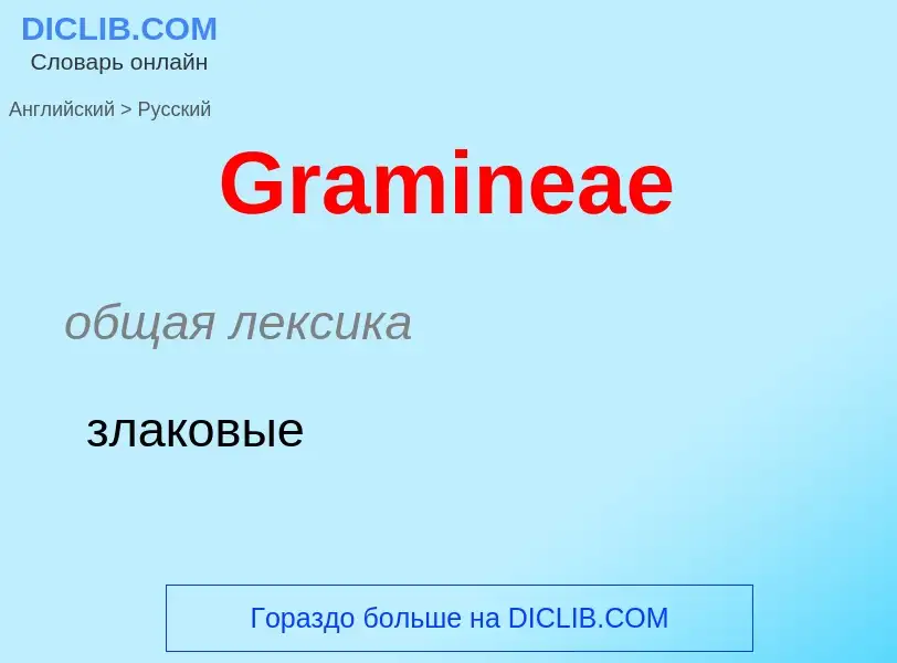 Как переводится Gramineae на Русский язык