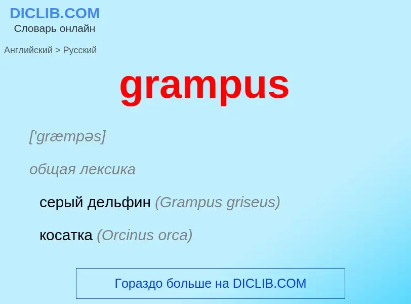 Como se diz grampus em Russo? Tradução de &#39grampus&#39 em Russo