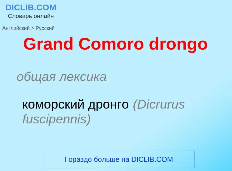 Как переводится Grand Comoro drongo на Русский язык