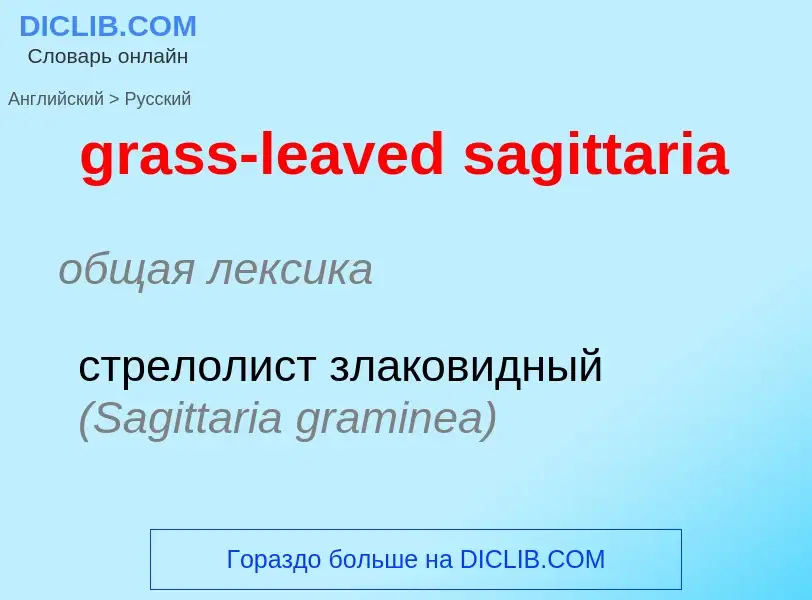 ¿Cómo se dice grass-leaved sagittaria en Ruso? Traducción de &#39grass-leaved sagittaria&#39 al Ruso