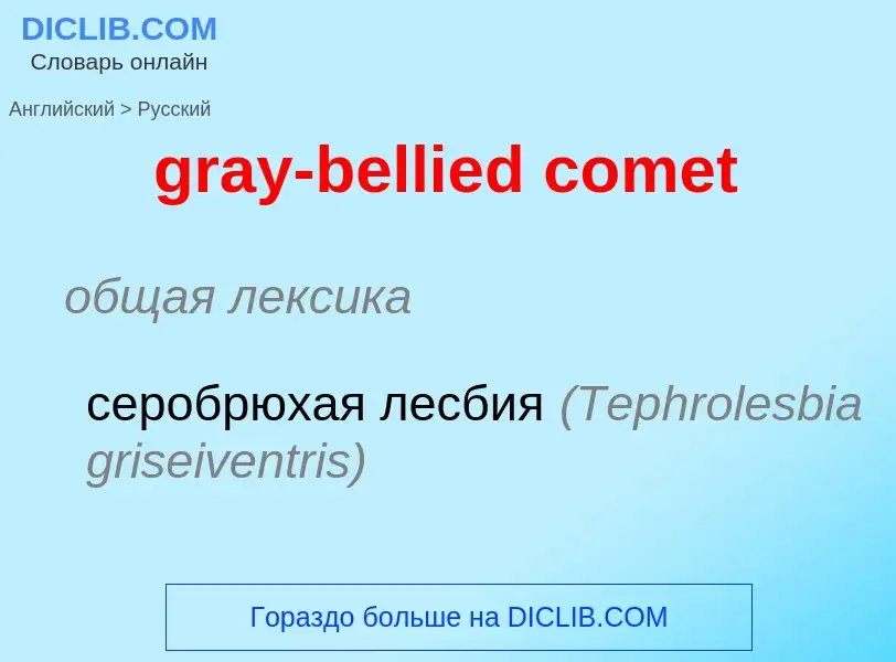 Μετάφραση του &#39gray-bellied comet&#39 σε Ρωσικά