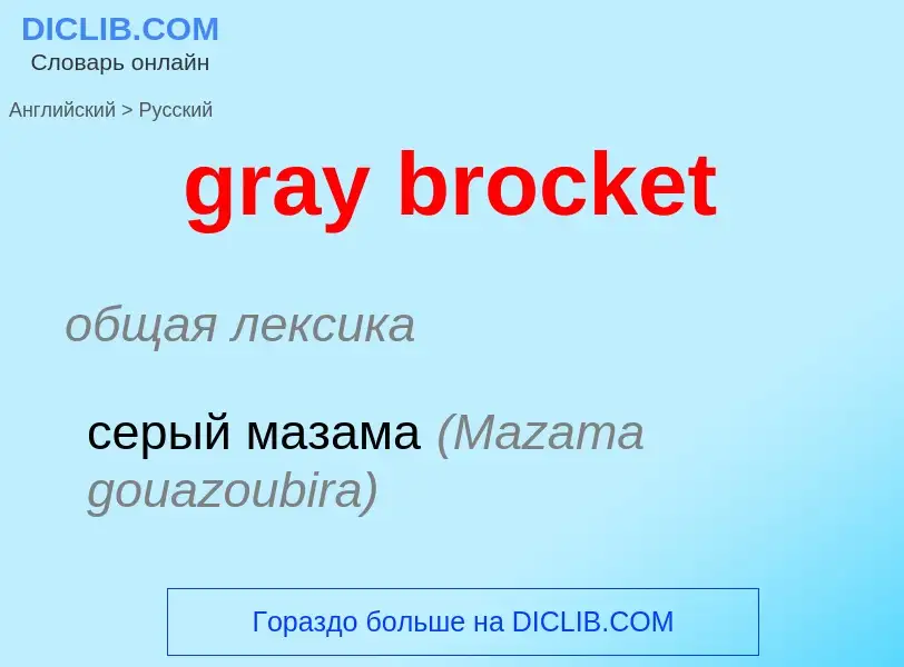 Vertaling van &#39gray brocket&#39 naar Russisch