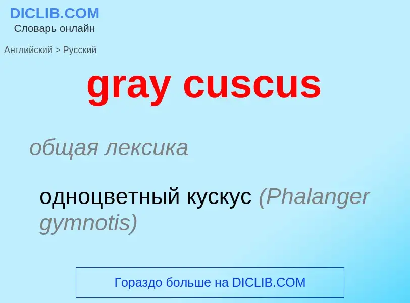 Как переводится gray cuscus на Русский язык