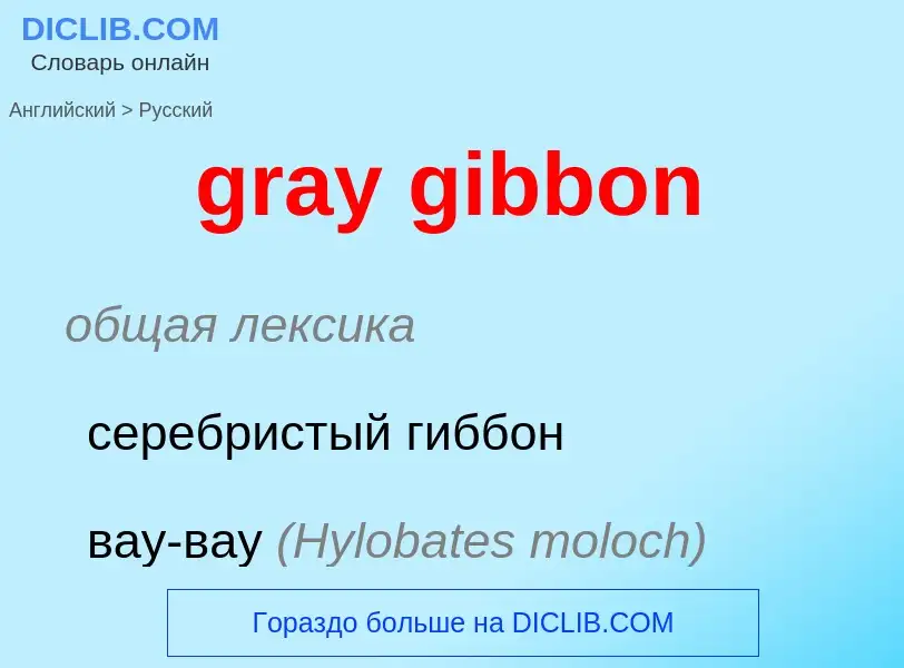 Vertaling van &#39gray gibbon&#39 naar Russisch