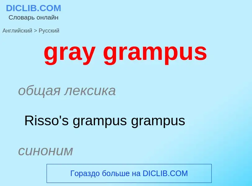 Como se diz gray grampus em Russo? Tradução de &#39gray grampus&#39 em Russo