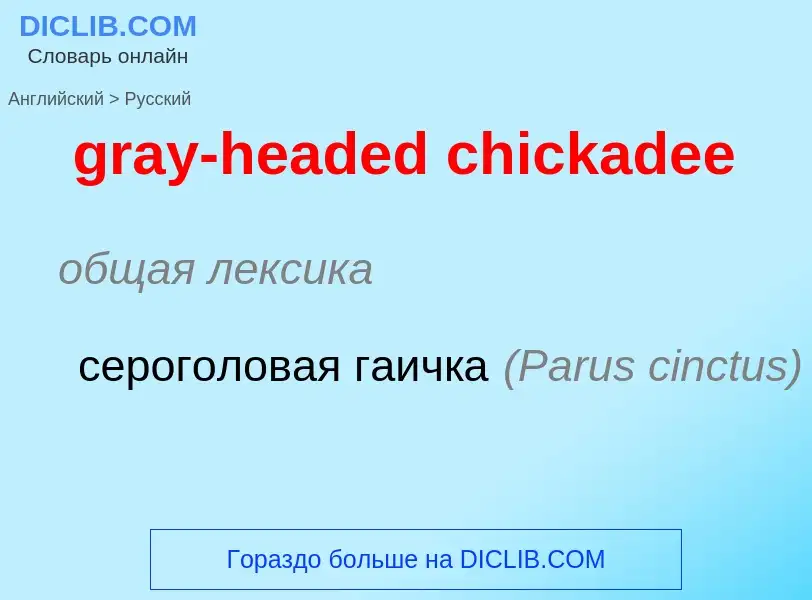 ¿Cómo se dice gray-headed chickadee en Ruso? Traducción de &#39gray-headed chickadee&#39 al Ruso