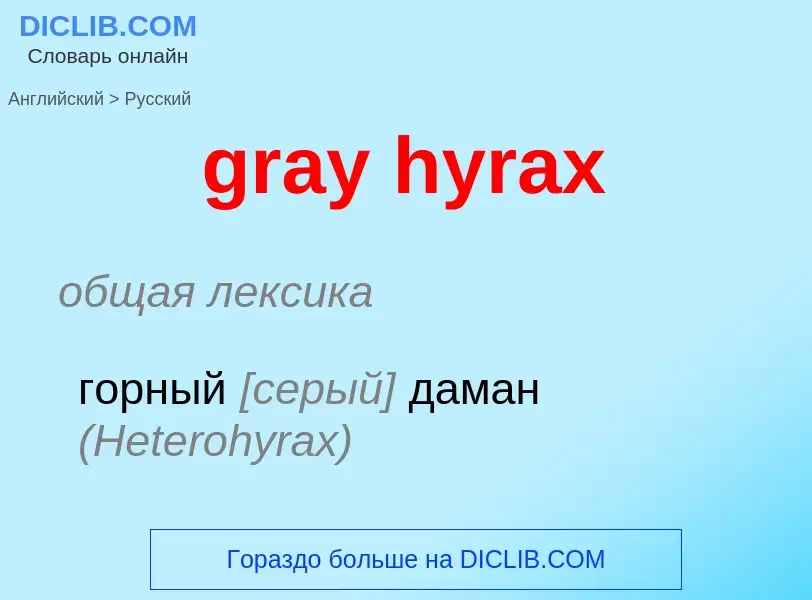 Как переводится gray hyrax на Русский язык