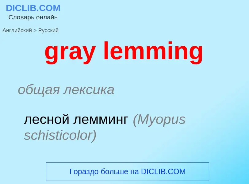 Traduzione di &#39gray lemming&#39 in Russo