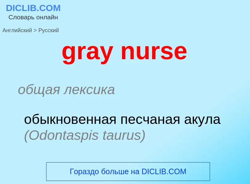 Μετάφραση του &#39gray nurse&#39 σε Ρωσικά