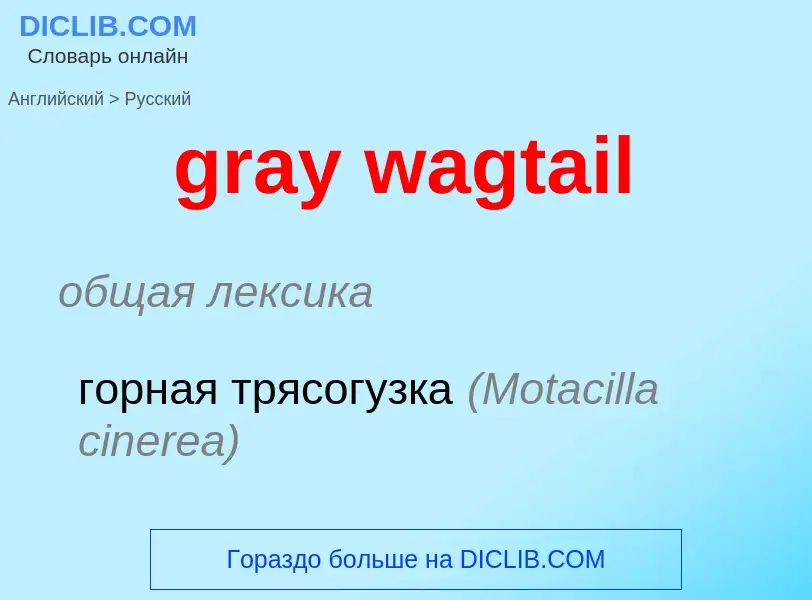 Μετάφραση του &#39gray wagtail&#39 σε Ρωσικά