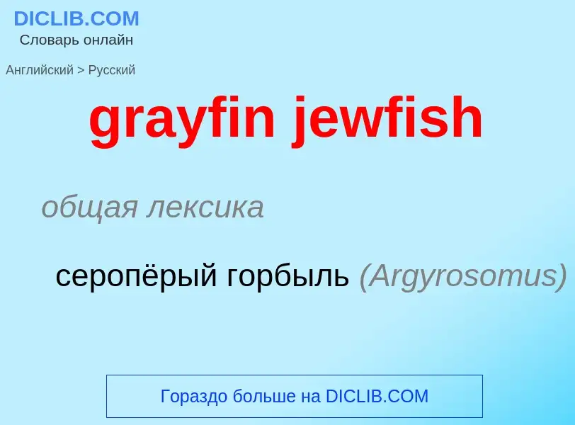 ¿Cómo se dice grayfin jewfish en Ruso? Traducción de &#39grayfin jewfish&#39 al Ruso