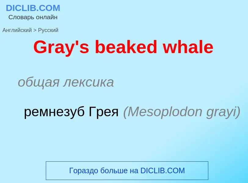 Как переводится Gray's beaked whale на Русский язык