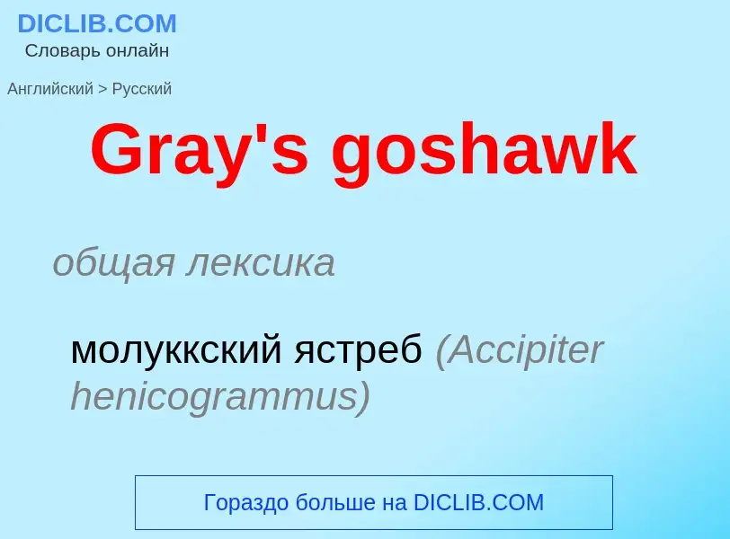 Как переводится Gray's goshawk на Русский язык