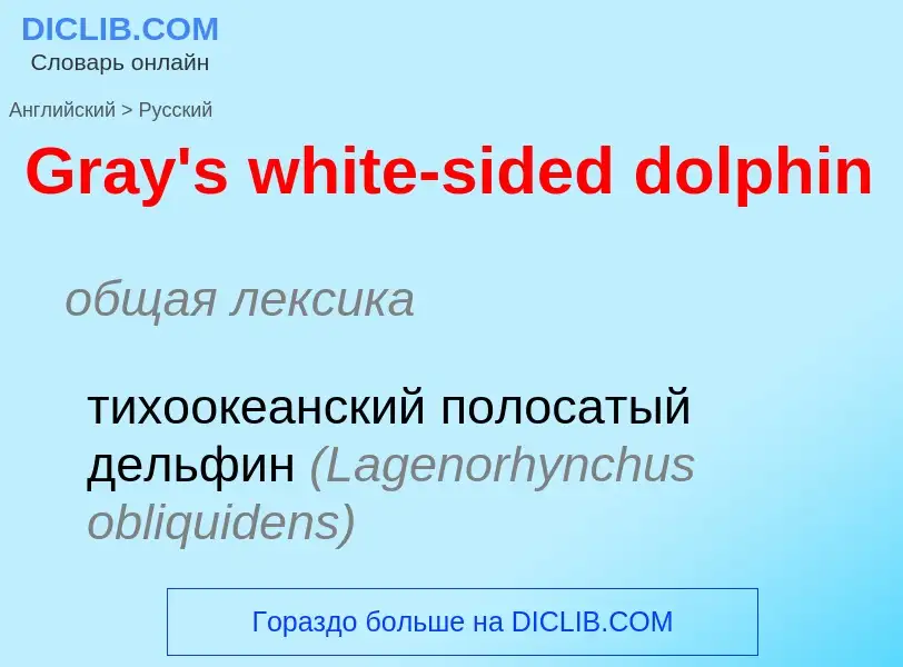 Как переводится Gray's white-sided dolphin на Русский язык