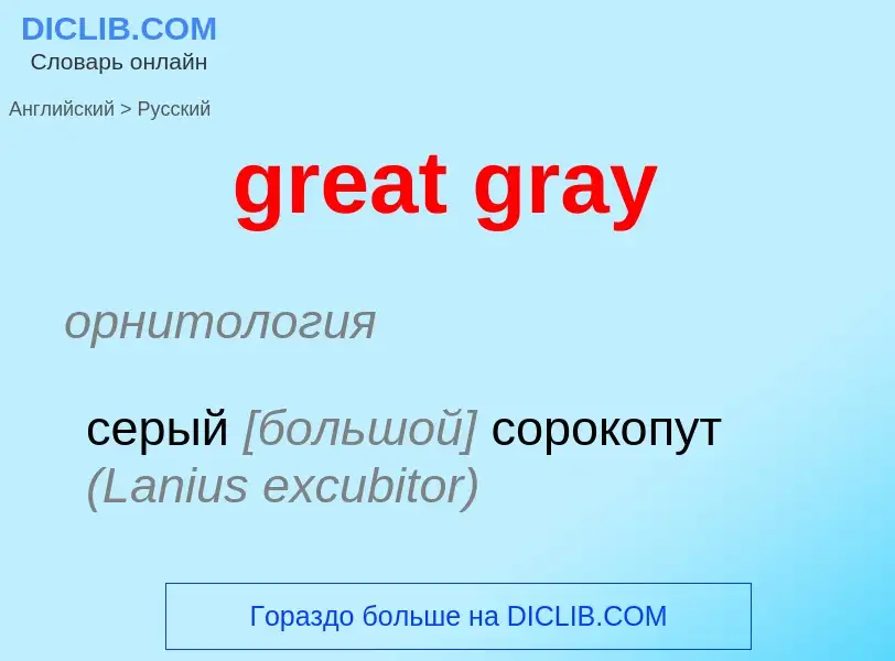 Как переводится great gray на Русский язык