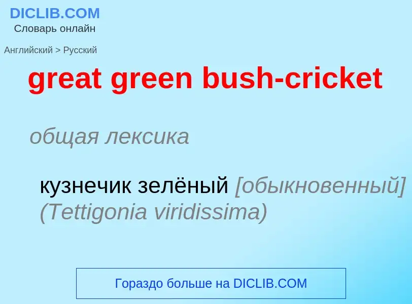 Как переводится great green bush-cricket на Русский язык