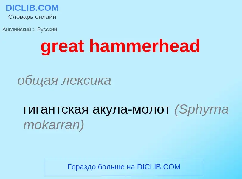 Как переводится great hammerhead на Русский язык