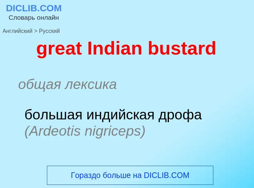 What is the الروسية for great Indian bustard? Translation of &#39great Indian bustard&#39 to الروسية