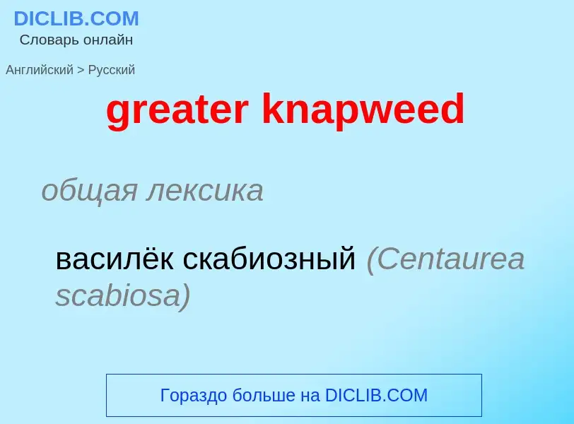 Как переводится greater knapweed на Русский язык