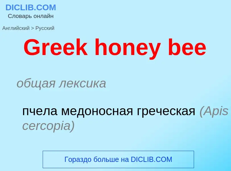 Как переводится Greek honey bee на Русский язык