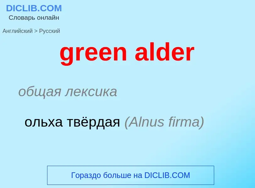 What is the Russian for green alder? Translation of &#39green alder&#39 to Russian