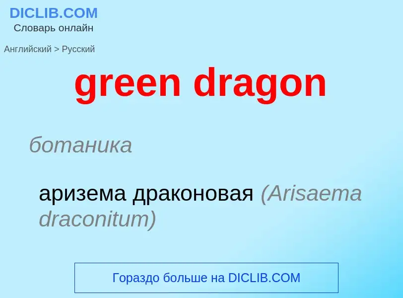 Как переводится green dragon на Русский язык