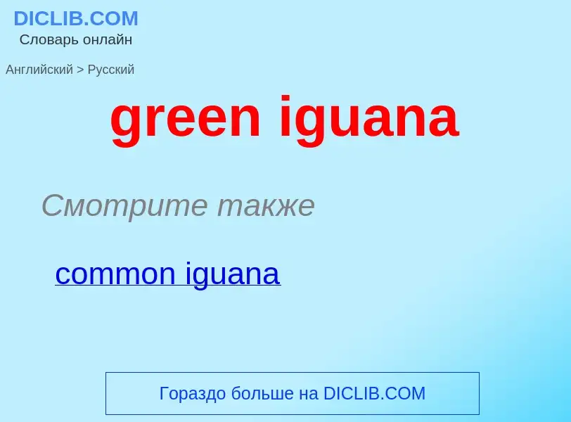 Как переводится green iguana на Русский язык