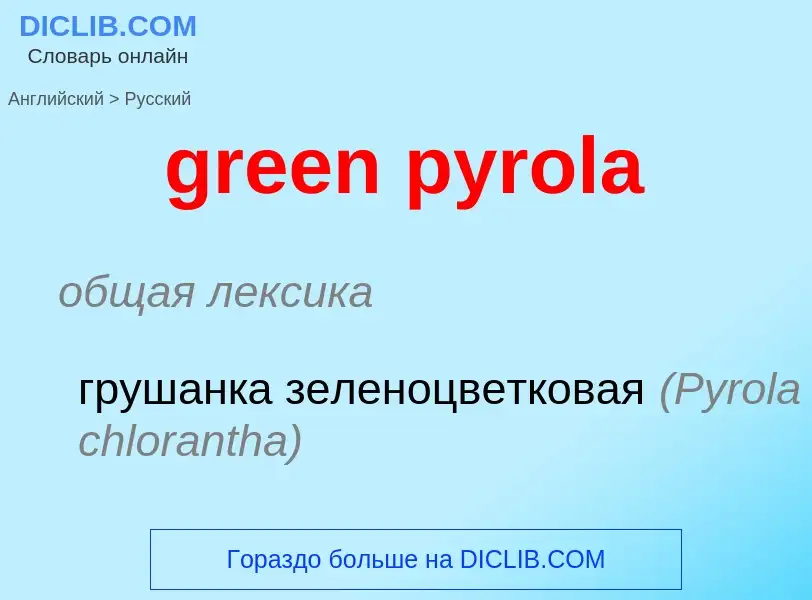 Как переводится green pyrola на Русский язык