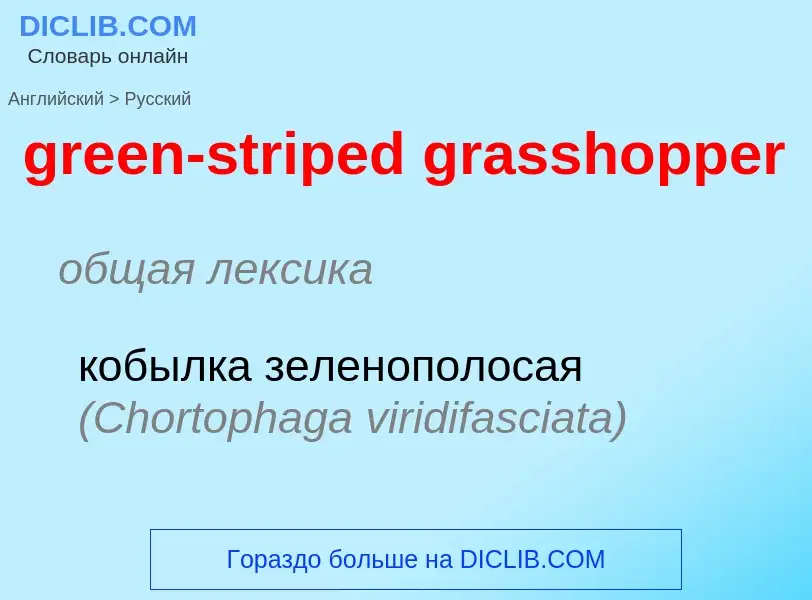 Как переводится green-striped grasshopper на Русский язык