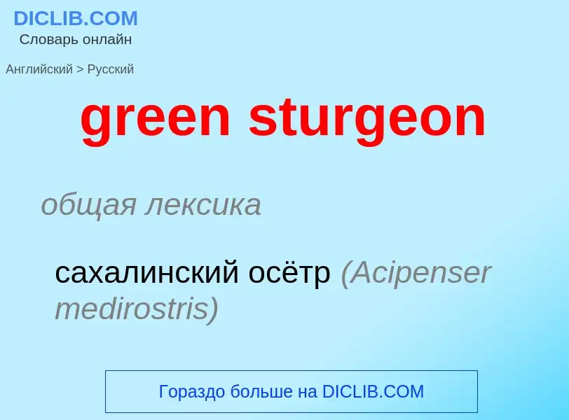 Как переводится green sturgeon на Русский язык