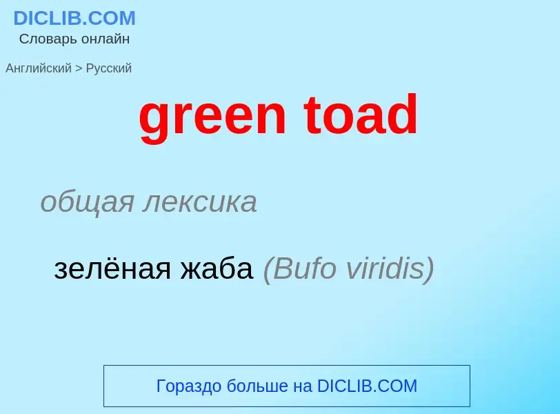 ¿Cómo se dice green toad en Ruso? Traducción de &#39green toad&#39 al Ruso