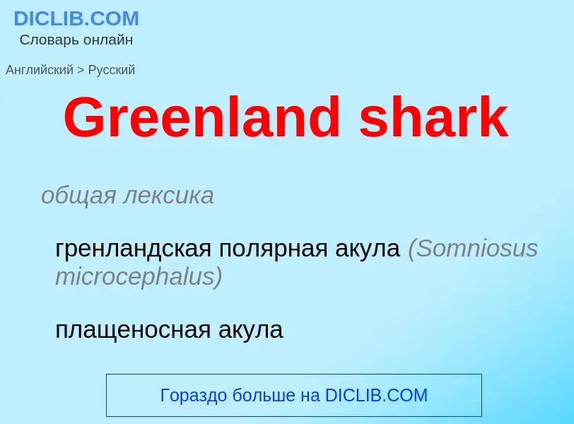 Как переводится Greenland shark на Русский язык