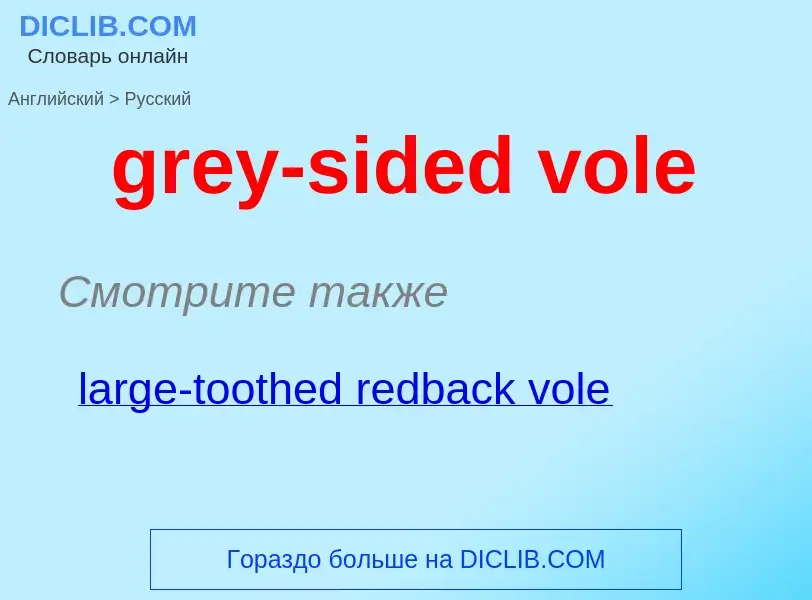 ¿Cómo se dice grey-sided vole en Ruso? Traducción de &#39grey-sided vole&#39 al Ruso