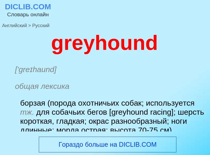 Как переводится greyhound на Русский язык