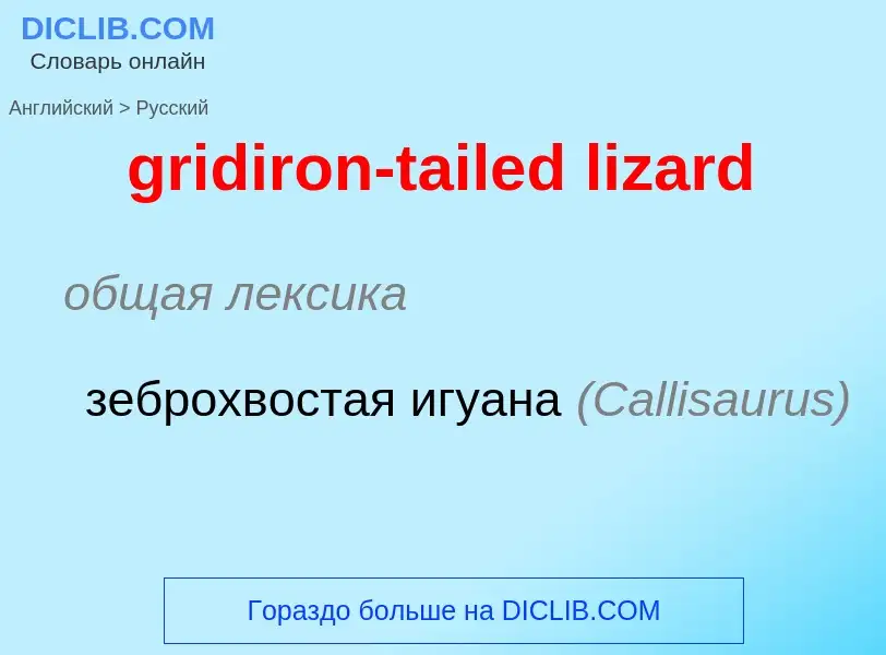 Como se diz gridiron-tailed lizard em Russo? Tradução de &#39gridiron-tailed lizard&#39 em Russo