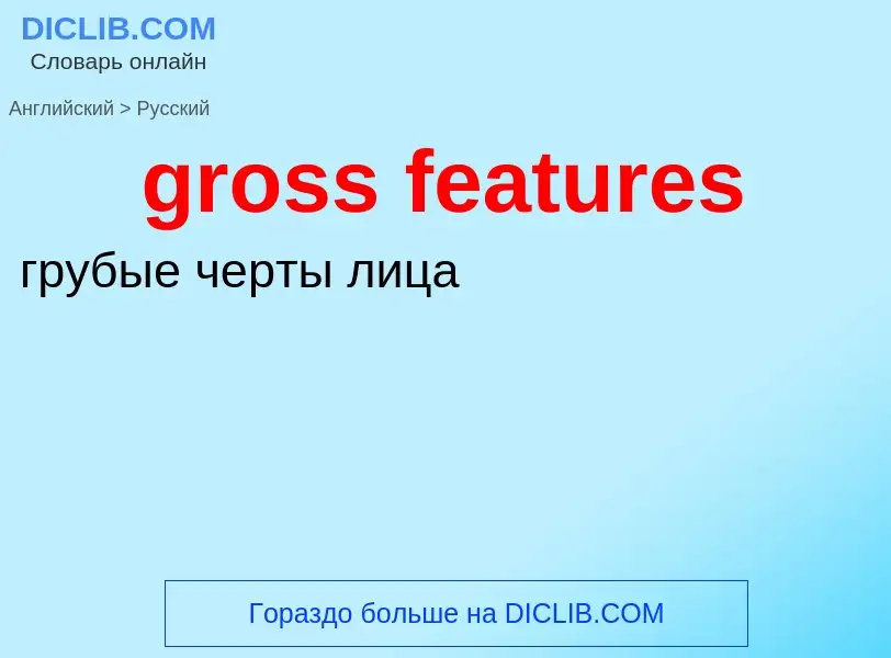 Как переводится gross features на Русский язык