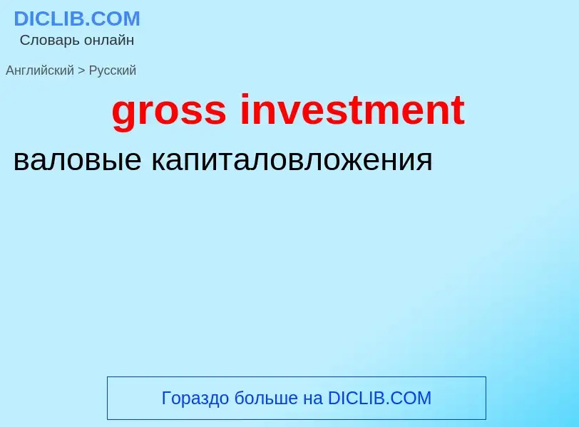 Как переводится gross investment на Русский язык