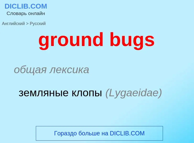 Μετάφραση του &#39ground bugs&#39 σε Ρωσικά