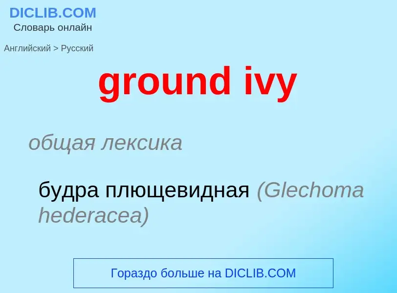 Vertaling van &#39ground ivy&#39 naar Russisch